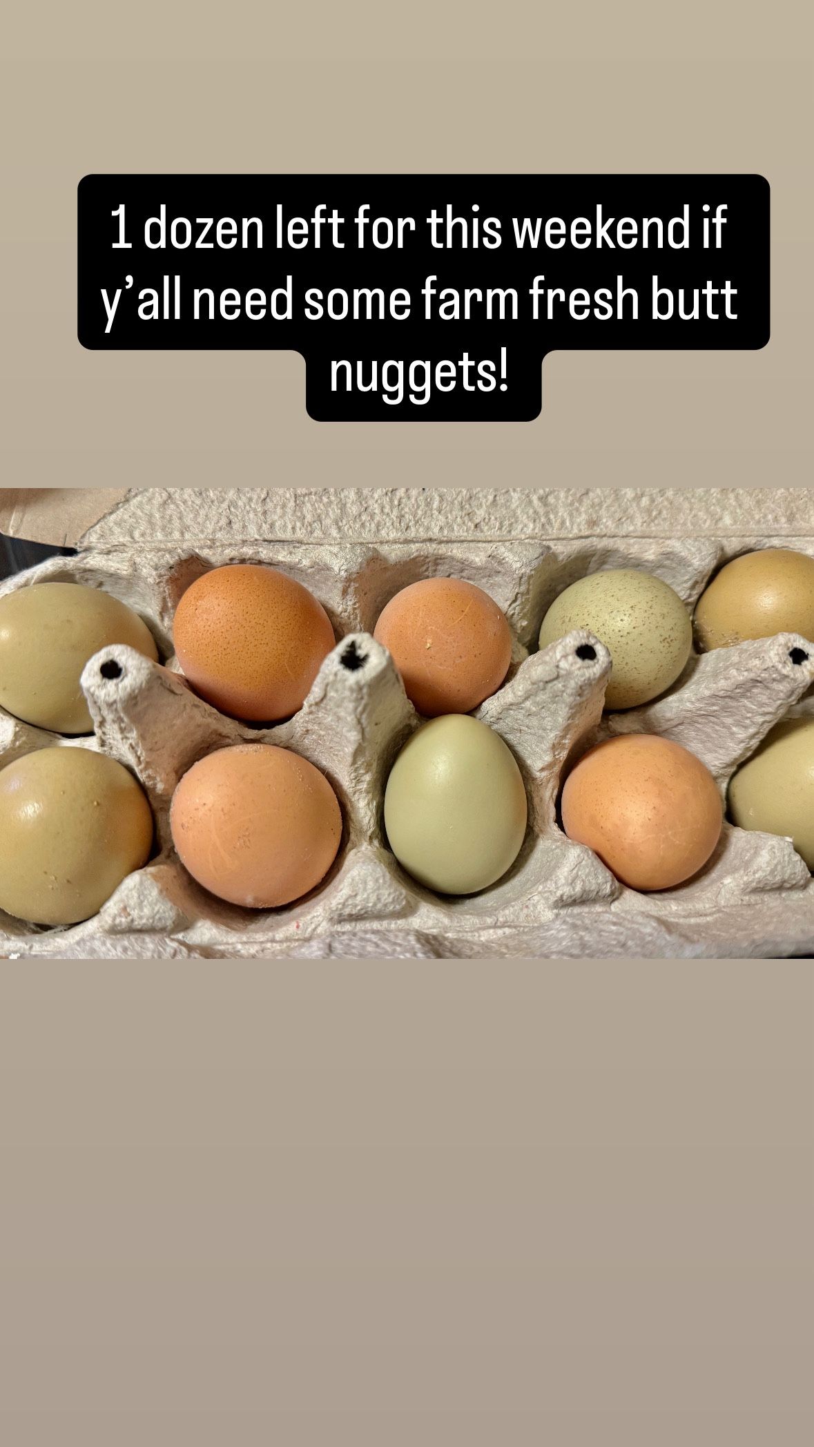 Farm Fresh Eggs! SNAP CUSTOMERS 