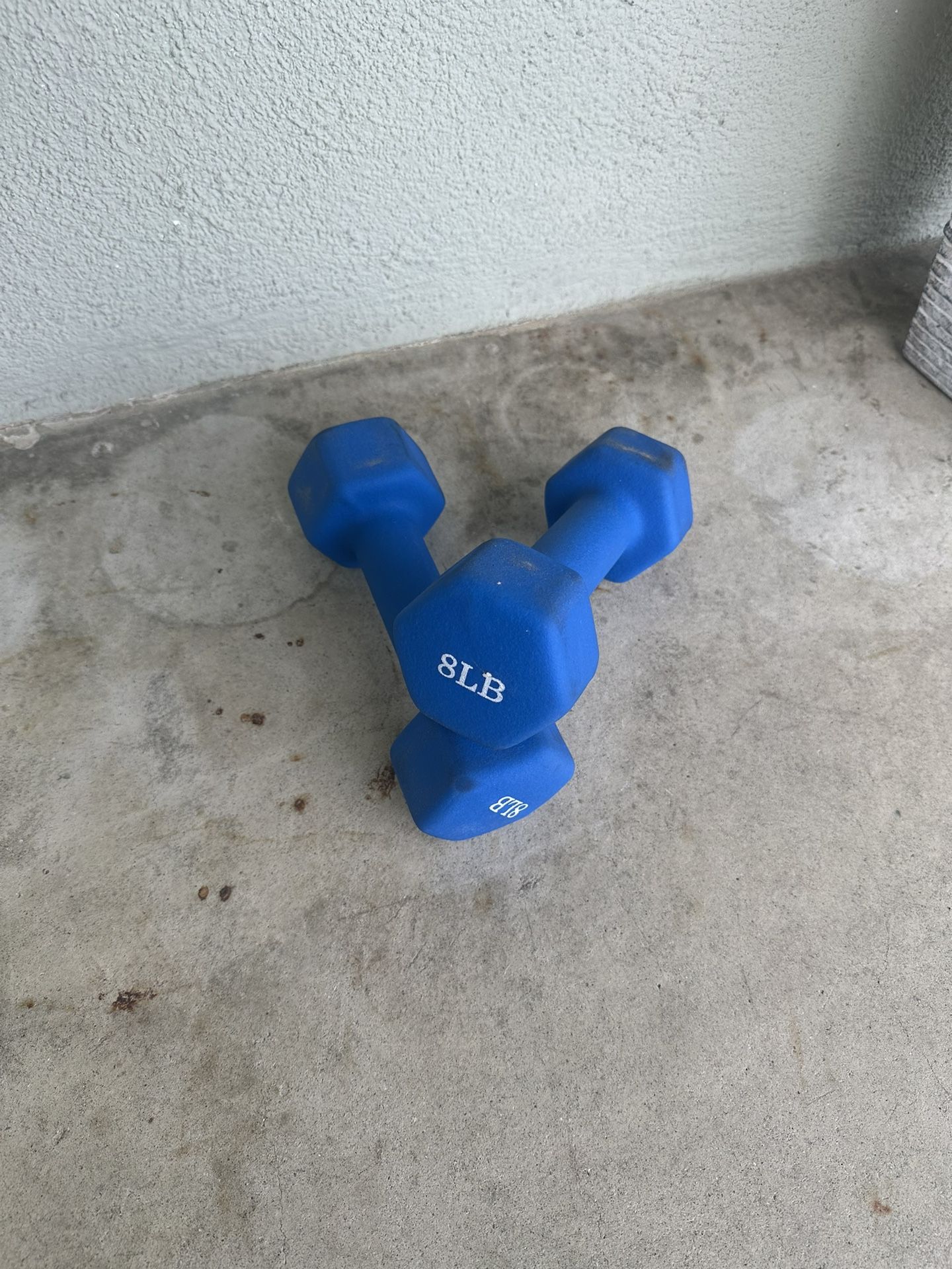 8 LB Dumbbell Weights