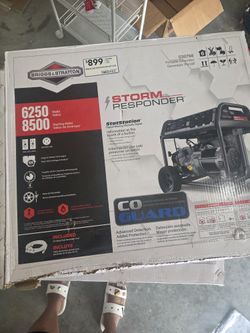 Briggs & Stanton 6500 Generator