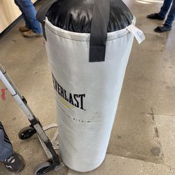 Everlast Punching Bag