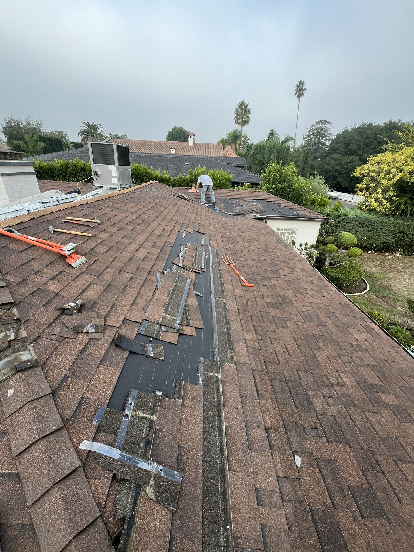  New Roof Shingles 