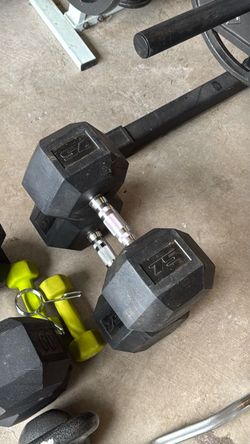 75 pound dumbbells x2