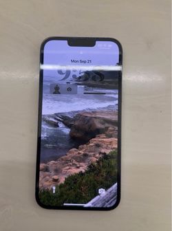 iPhone 13 Pro Max