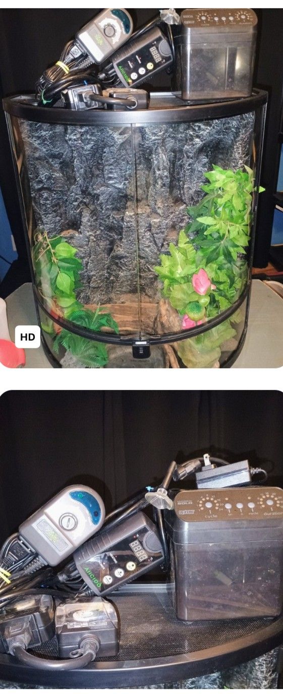 Good Size Terrarium With Everything Included And More