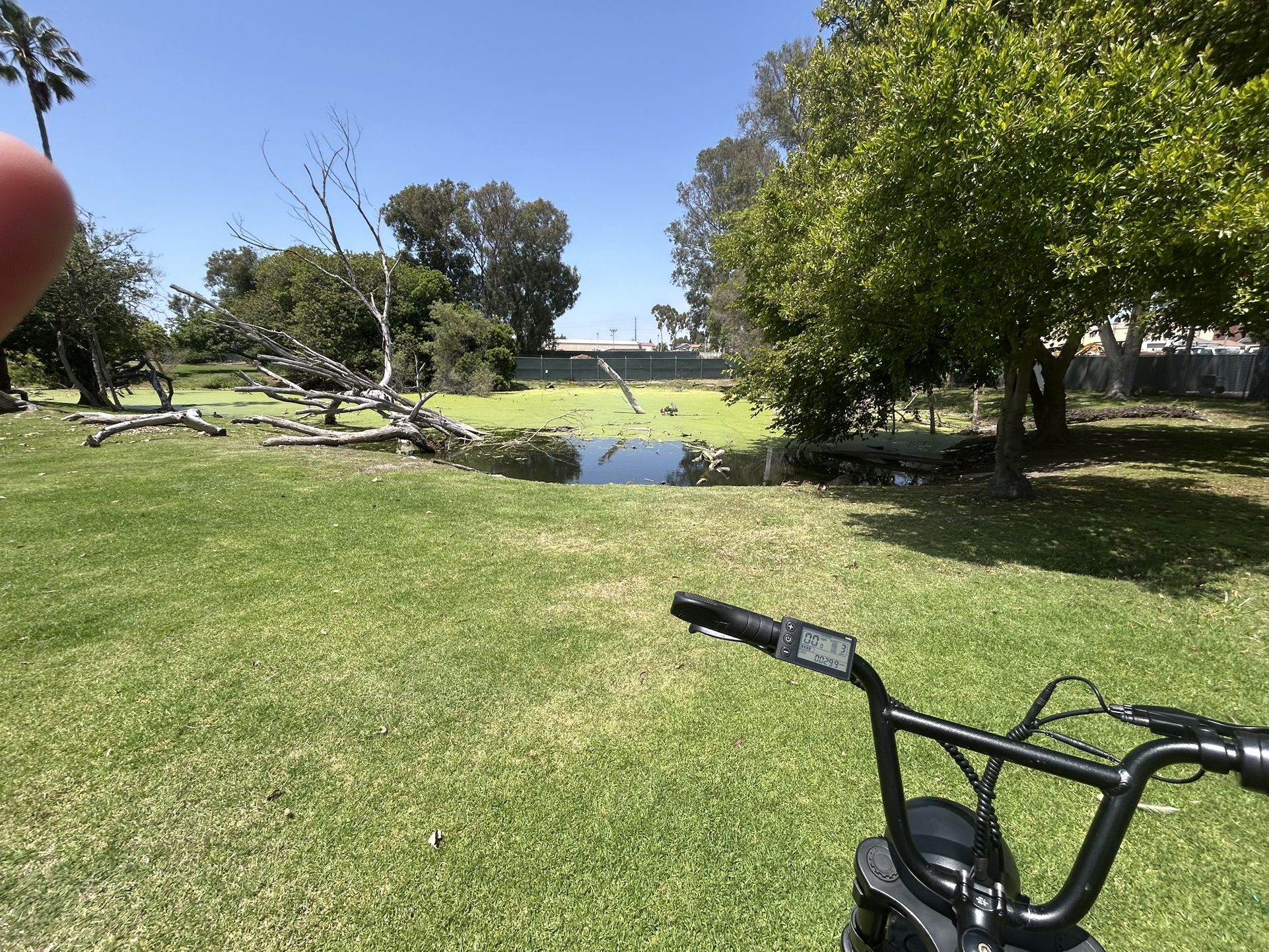 Colorway Electric Bike (TRADES ONLY)
