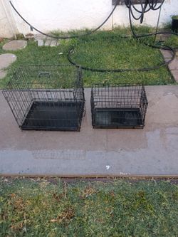 Dog An Cat Cages