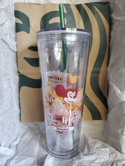 starbucks Disney Park acrylic cup