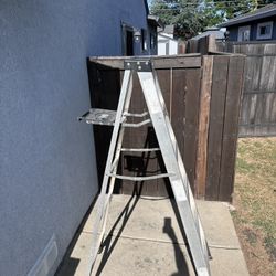 6 Ft Gorilla Ladder
