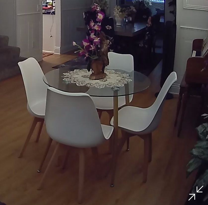 Dining Table Glass & 4 High Back Chairs