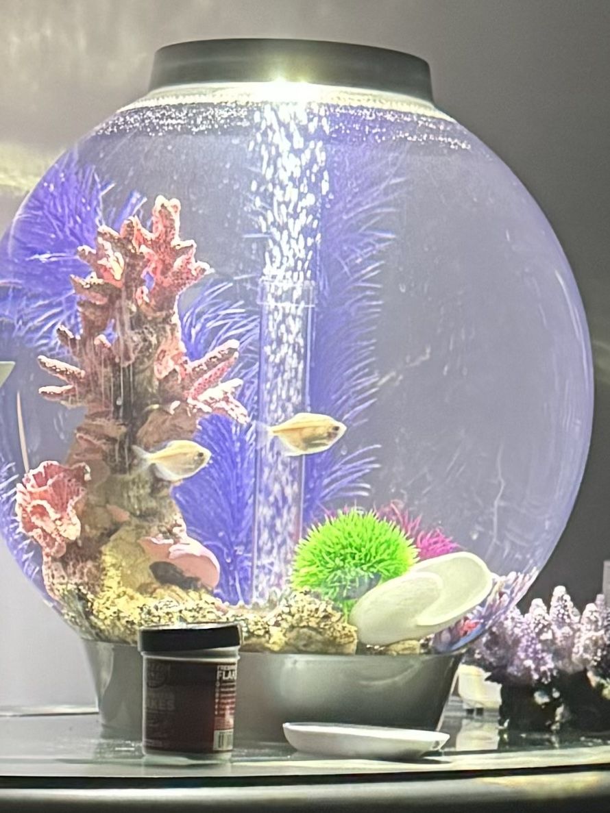 Fish Tank For Sale