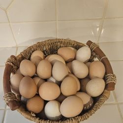 Fresh eggs 