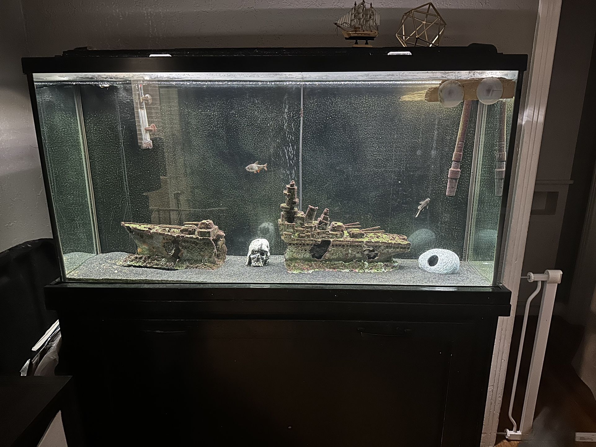 Fully Equipped Fish Tank 50 gallon