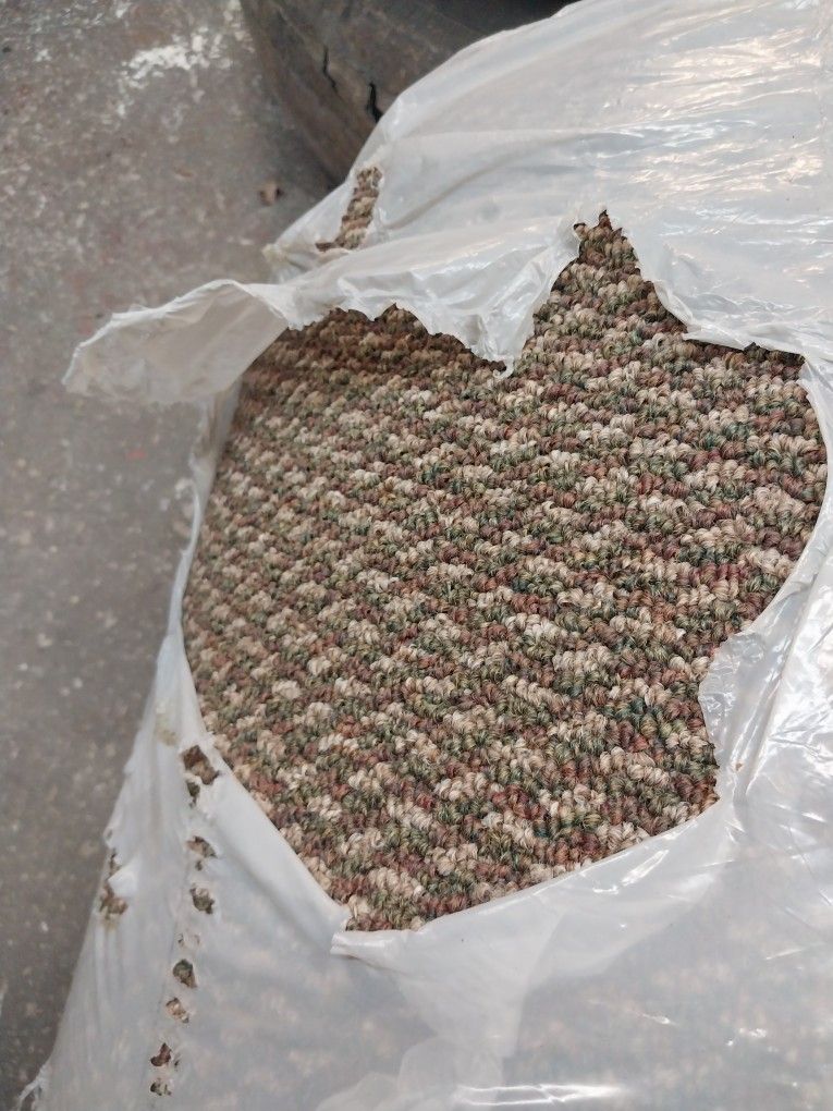 Carpet