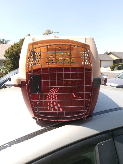 Small Dog 🐕 Cage