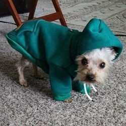 XS Xtra Small Doggie Hoodie Sweater