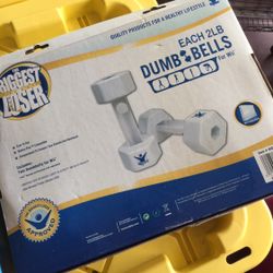 Wii Dumb Bells