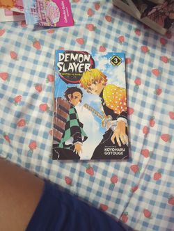 Demon Slayer Manga 3