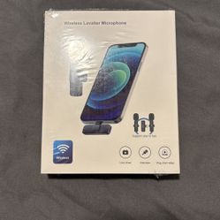 Mini Microphone 