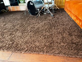 Grey-Brown Shag Area Rug