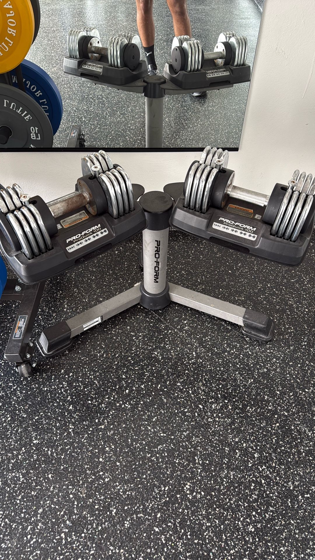 Proform 100 50LB Weights