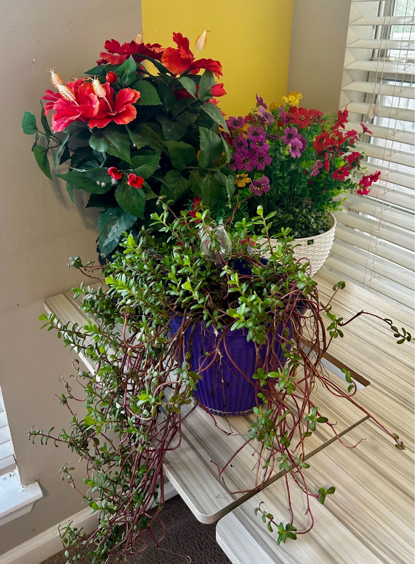 Mixed Floral Arrangement