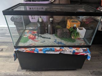 Reptile tank