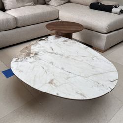 Modern Freeform  Marble Coffee Table With Wood End Table - Free Delivery ✅ Marble Coffee Table 