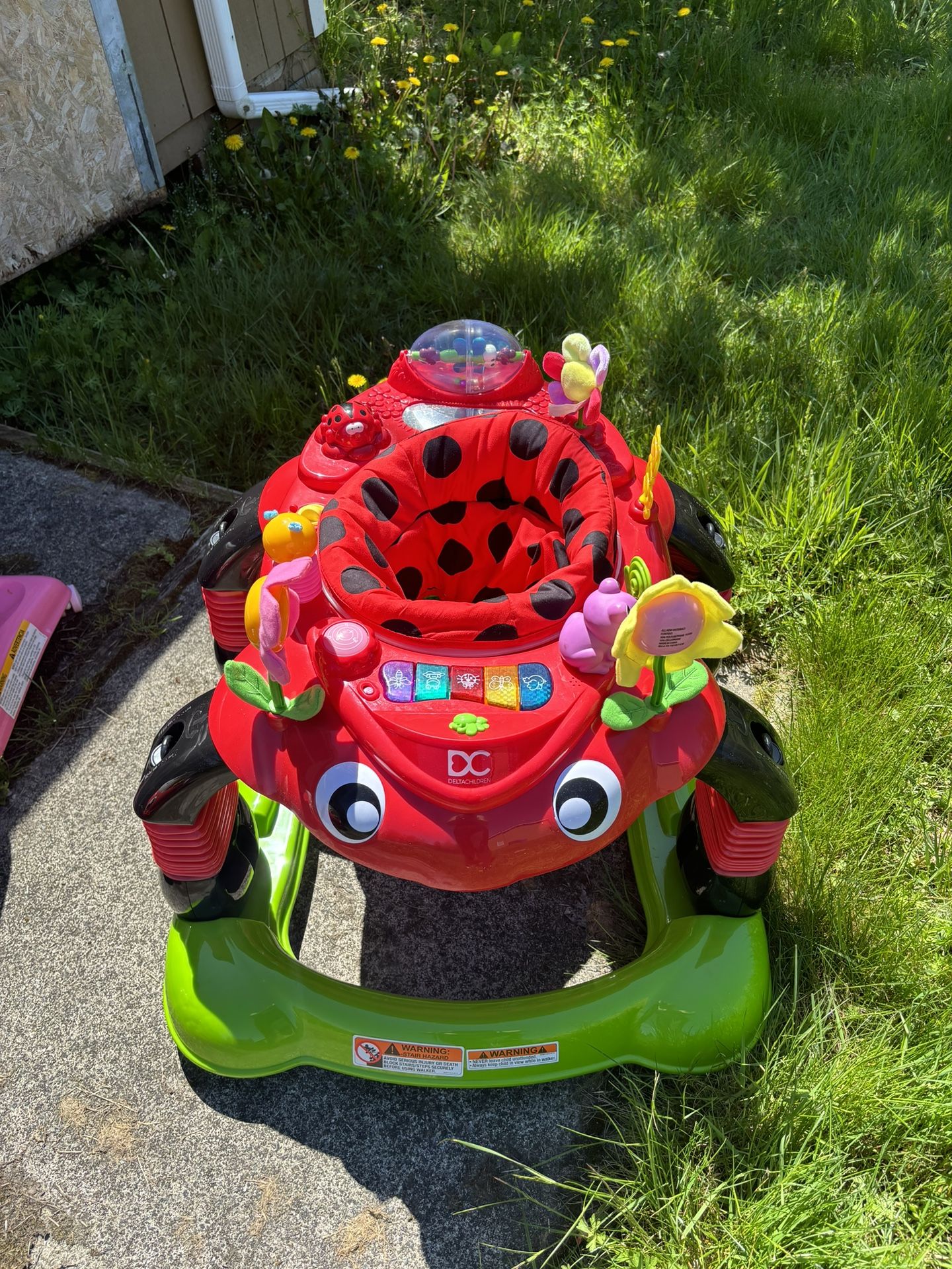Lady Bug 4 In 1 Activity Jumper
