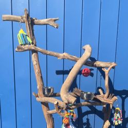 Thick N Curvy Macaw / Cockatoo Perch Play Tree - Funky N Curvy … Thick Ribbon Wood Lasts For Years … Low Breeder Direct Prices !! 👍🏼👍🏼