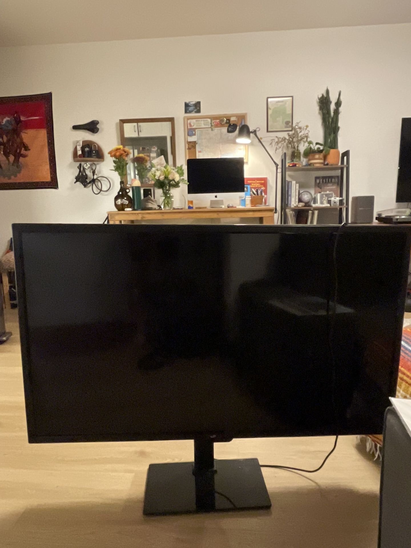 SCEPTRE 45” TV - with Stand