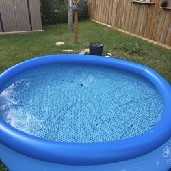 Adult Pool