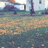A.S