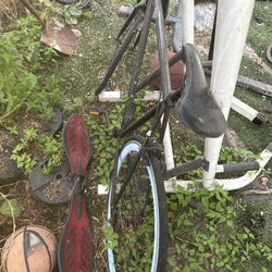 Fixie