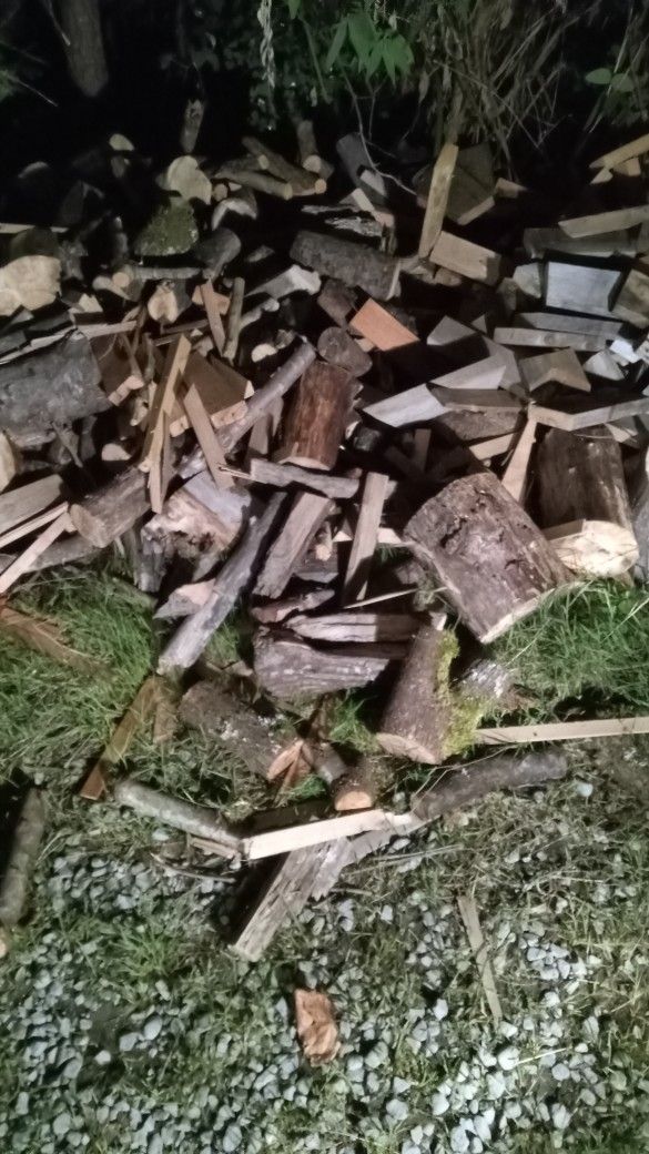 Cedar Logs, Variest Sizes 