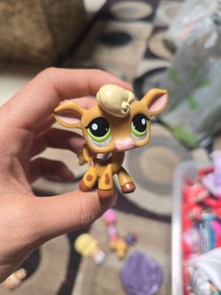 LPS #1883