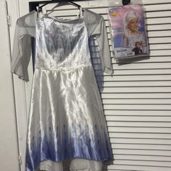 DISNEY FROZEN ELSA child’s  COSTUME with Elsa Hair wig size large