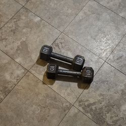 10 Lbs Dumbbells 