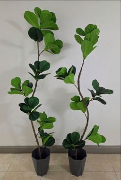 *** SPECIAL *** PAIR of Faux Fiddle Leaf Fig Trees in 11in (Tall) Gray Hexagonal Planters (2 for $110) @ Lasting Creations