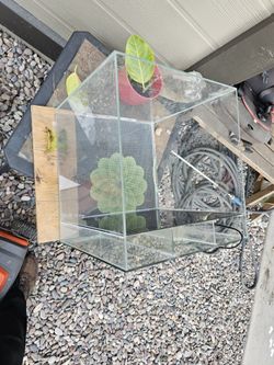 16 Gallon AIO Cube