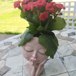 for sale you can put it in an office or work table it would look nice

