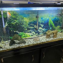 Fish tank 60 gallons