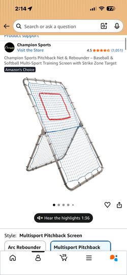 Deluxe Pitch Back Screen Baseball