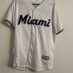 Large Miami Jersey 