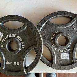 x2 25lb Plates