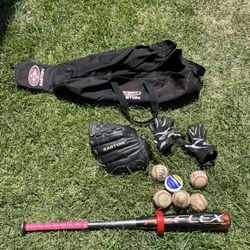Baseball Bat & Glove Set w/ Carry Bag – 2 Bats, Gloves, Donut Weight, Conditioner