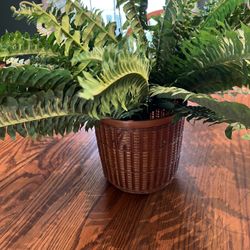 Artificial plants-2 Ferns In vintage Basket, 1 In Glass Pitcher And 1 In Clay Like Pot