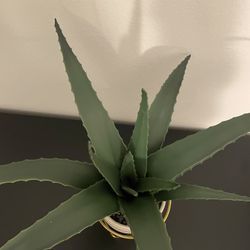 Modern Faux Aloe Plant in Textured Pot with Gold Stand