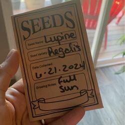 Seeds For Sale 