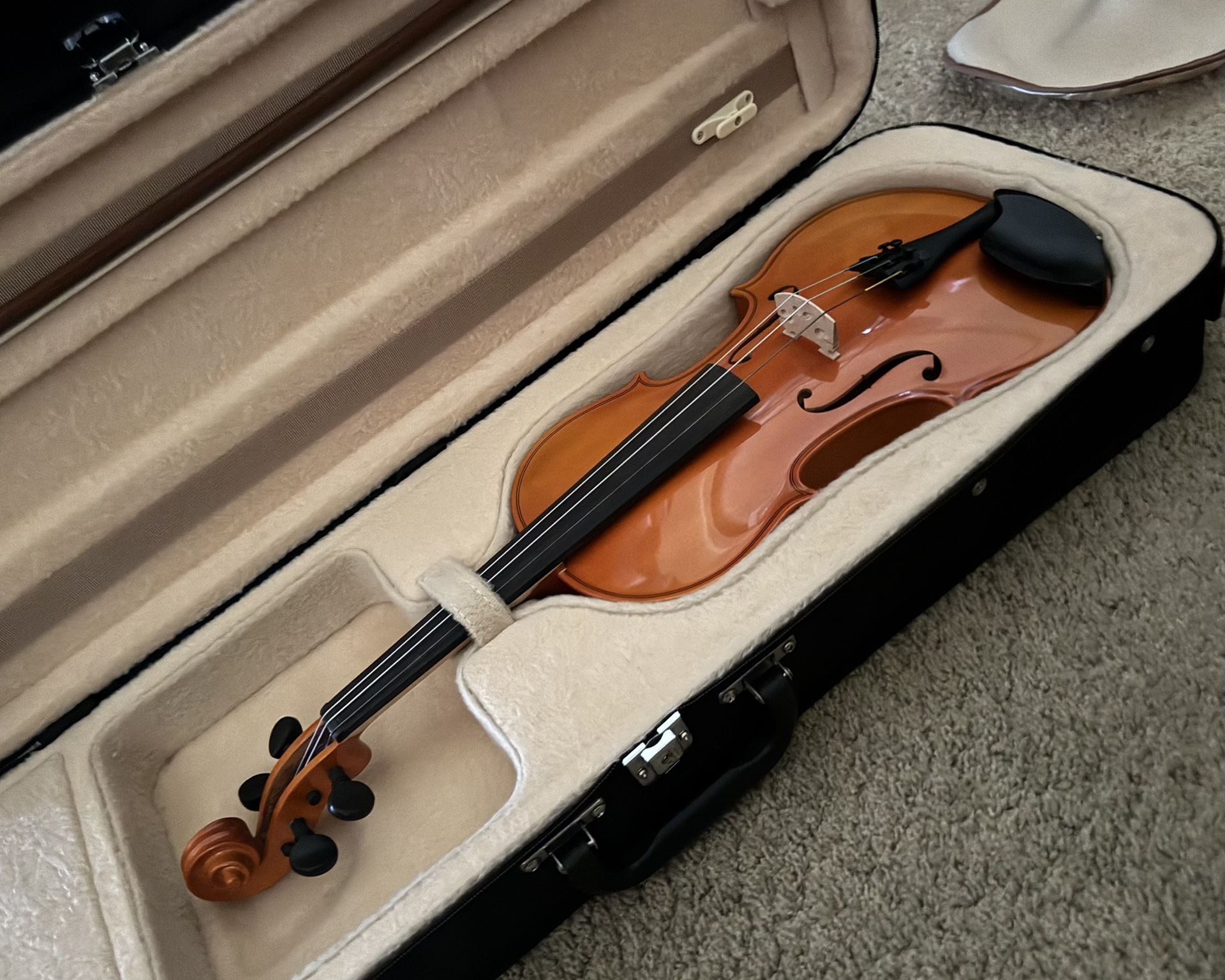 Violin