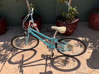 Guardian Kids Bike children 20” large
